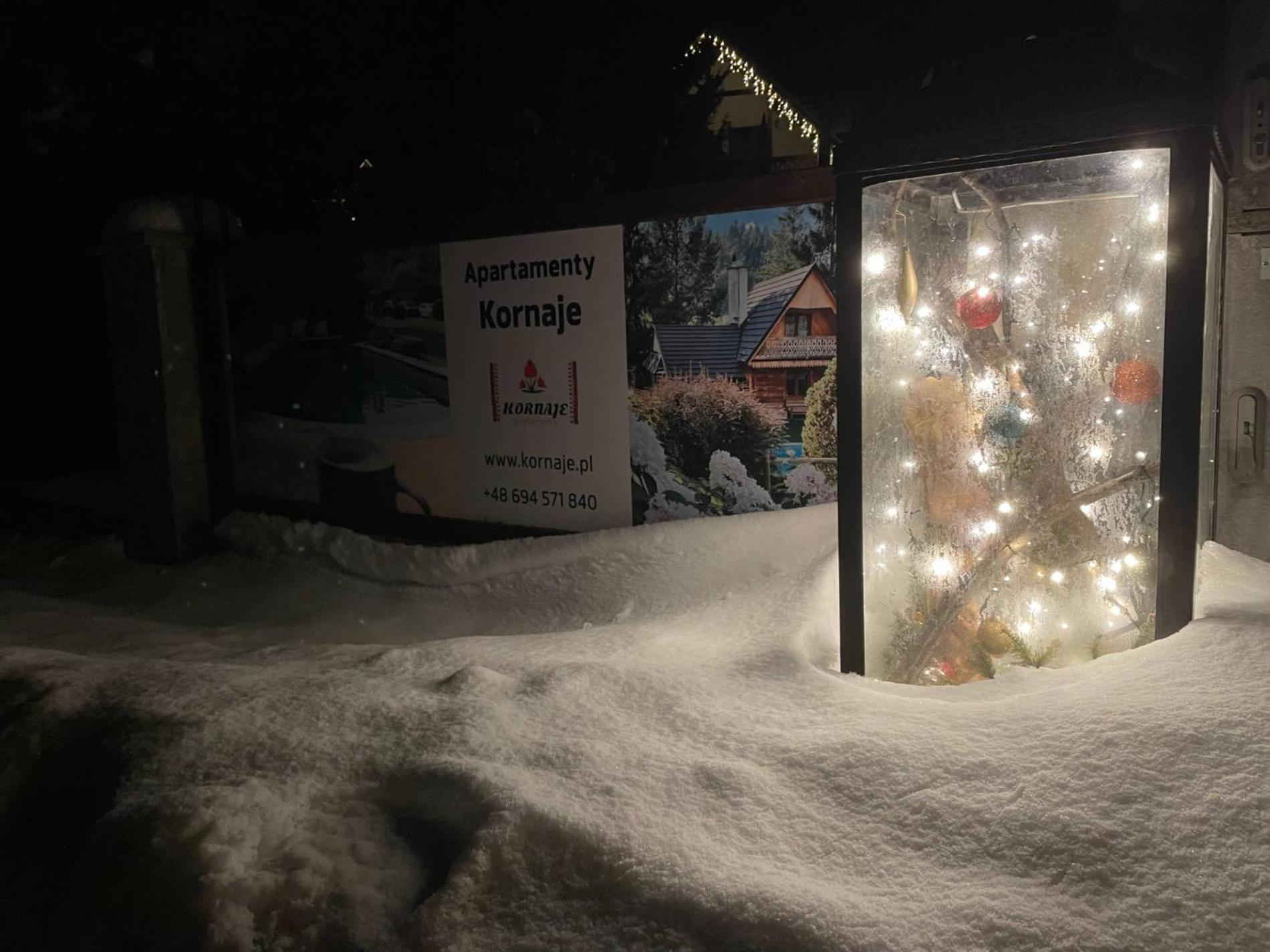 Apartamenty Kornaje Szczawnica Bagian luar foto